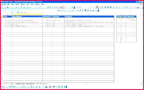 Using the Excel Template