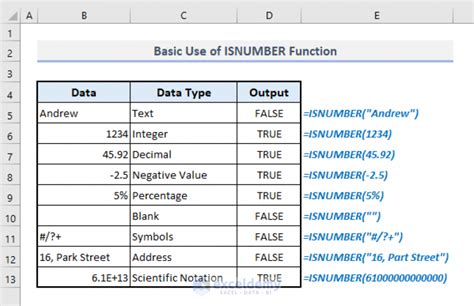 Using ISNUMBER Function to Handle Dividing by Zero Error