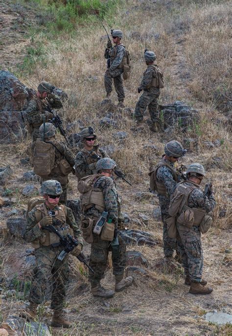 USMC 2nd Battalion 4th Marines in the Korean War