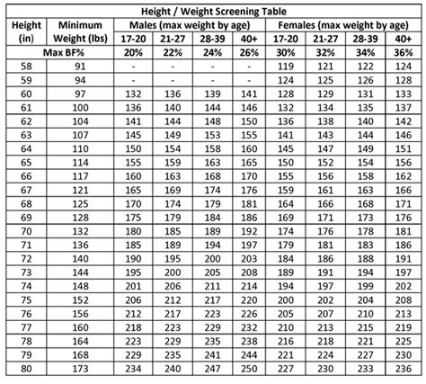 USMC Body Fat Percentage Requirements