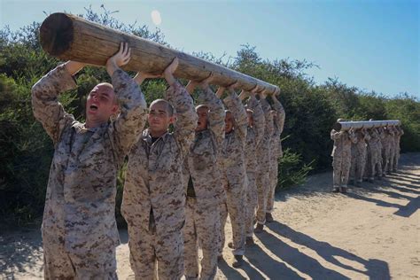 USMC Teamwork