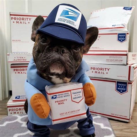 USPS Mailman with Dog