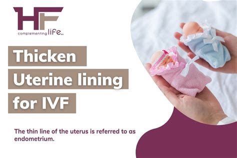 Description of Uterine Lining Preparation