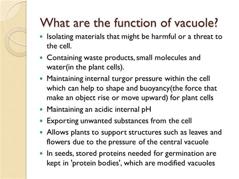 Vacuole functions in plant cells