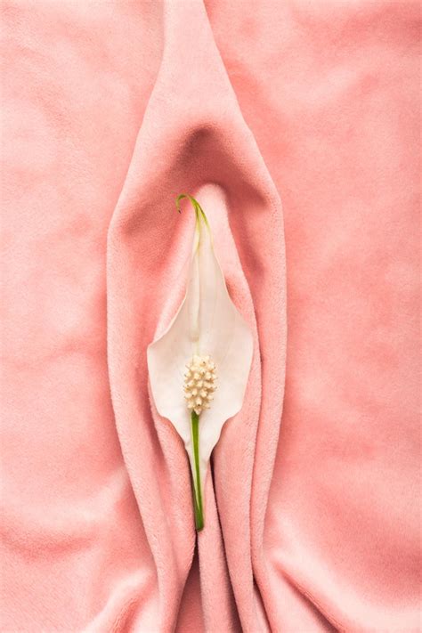 Vagina Flower and Health