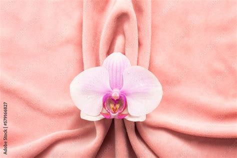 Vagina Flower Image 1