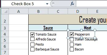 VBA CheckBox Form