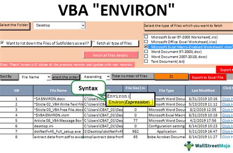 VBA Environment