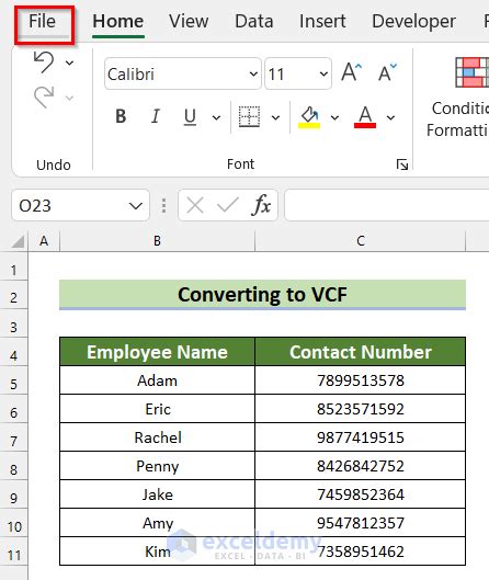 VCF Import Excel