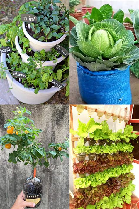 Vegetable Gardening Tips