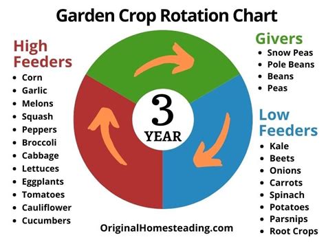 Vegetable Rotation Chart