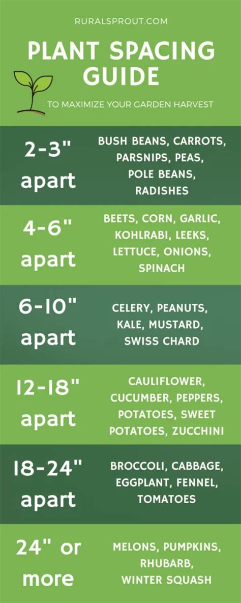 Vegetable spacing chart example