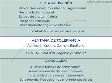 La teoría de la ventana de la conciencia