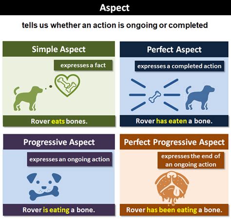 Description of Verb Aspects