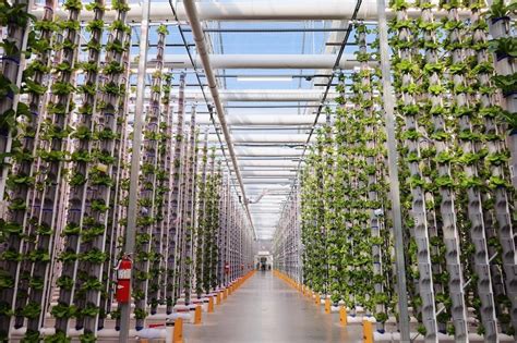 Vertical farming