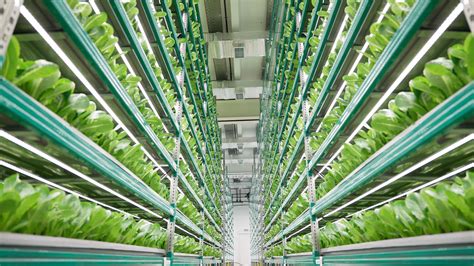 Vertical farming