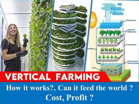 Vertical farming manager careers