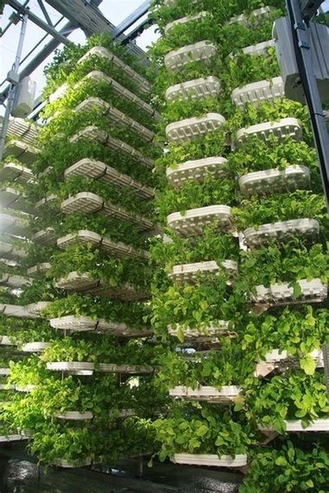 Vertical farming vertical gardens