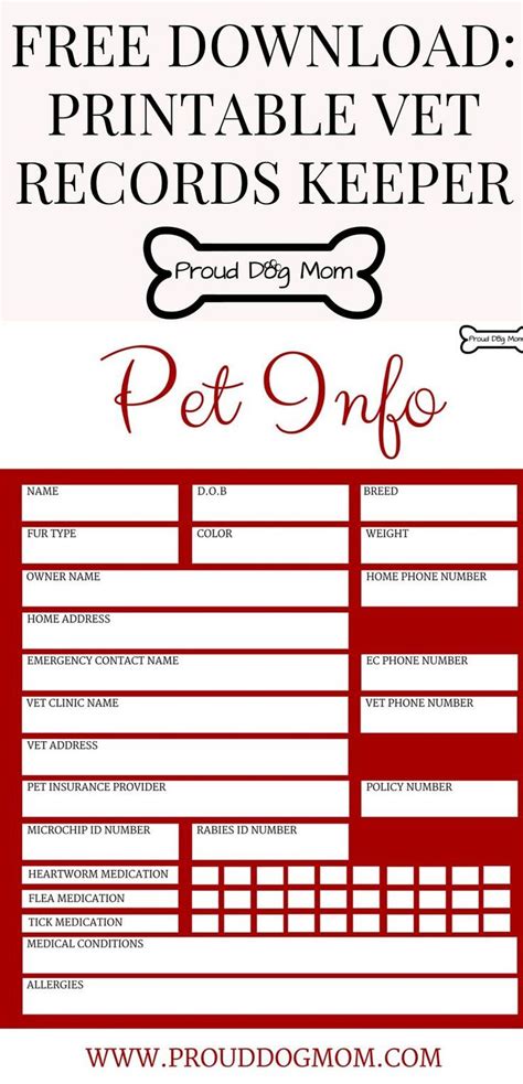 Vet bill organizer template gallery 2