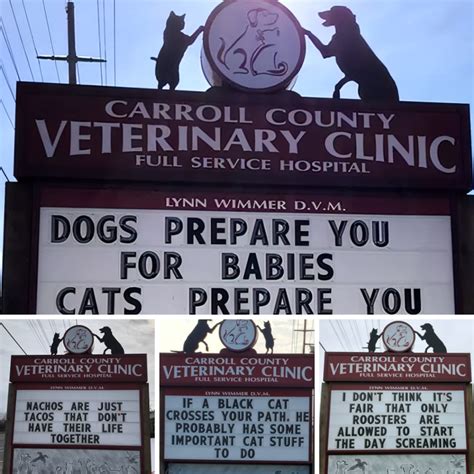 Vet clinic signs for kids