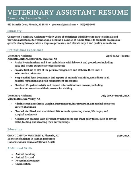 Vet Tech Resume Sections