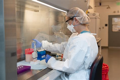 Veterinarians working in a laboratory