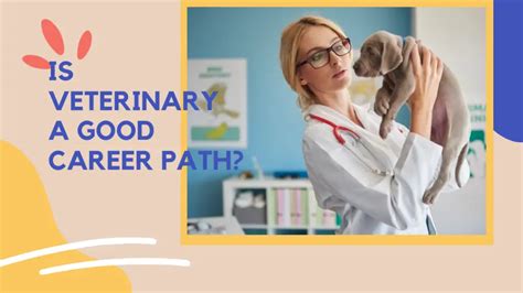 Veterinary Career Paths for Military Veterans