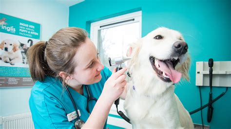 Veterinary center services