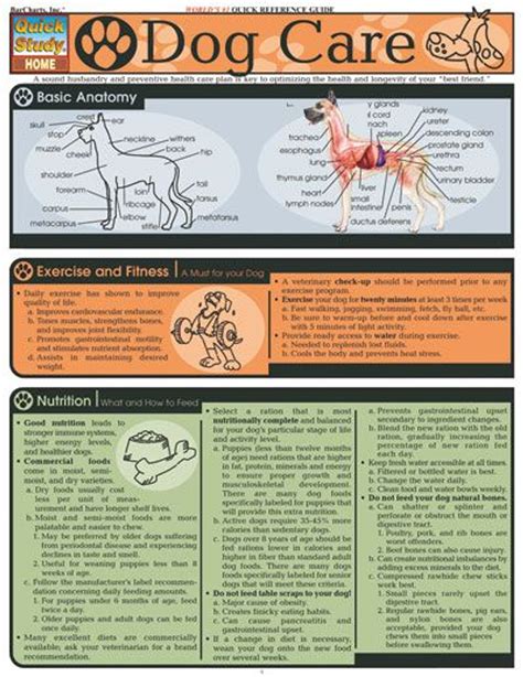 Veterinary charts for kids to track pet health