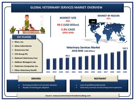 Veterinary industry professional working in a factory