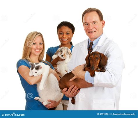 Veterinary team photos