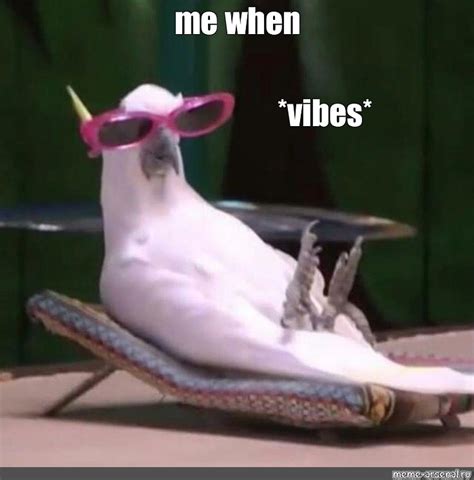 Vibe Meme Potential