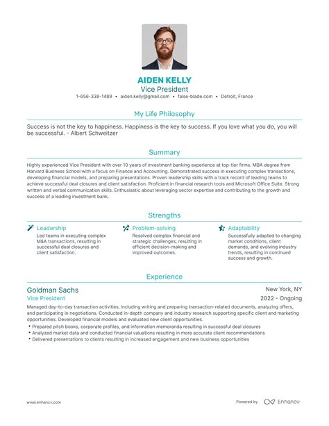 Vice President Resume Example 2