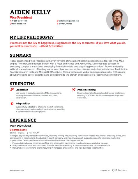 Vice President Resume Example 3