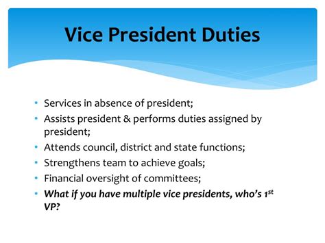 Vice President Role