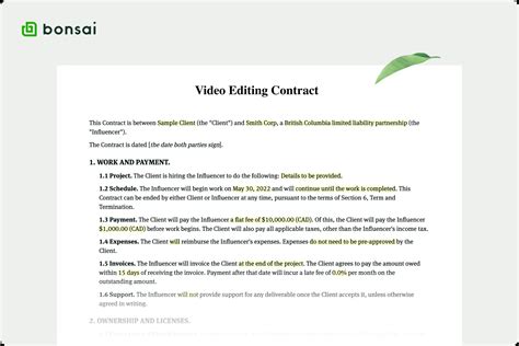 Video Editing Contract Template 1