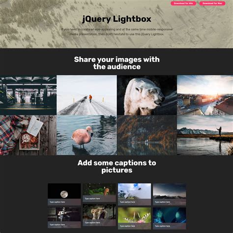 Video Template Gallery Image 6