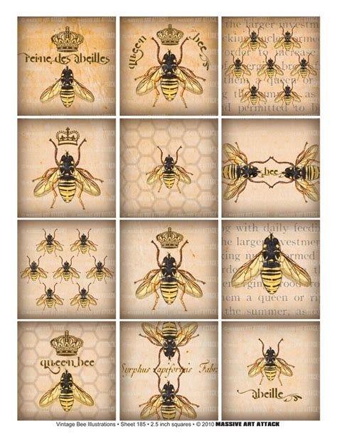 Vintage bee printables used as wall art