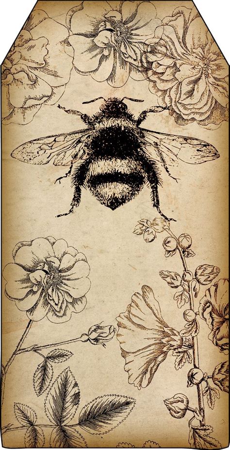 Collection of vintage bee printables in different frames