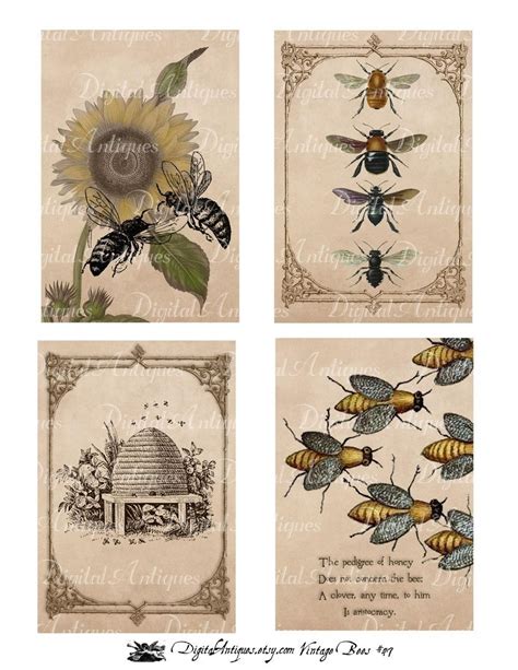 Vintage bee printables with floral motifs