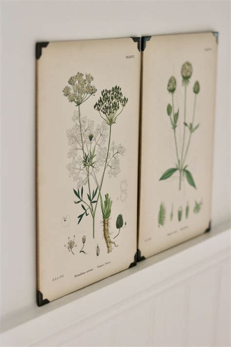 Vintage botanical print gallery wall