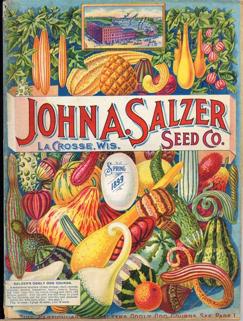 Vintage Seed Packet Designs