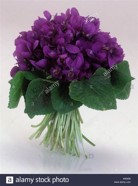 Violet Bouquet Embroidery Pattern