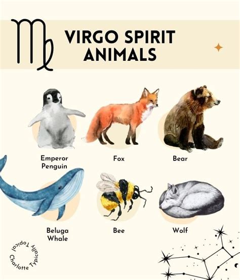 Description of Virgo spirituality