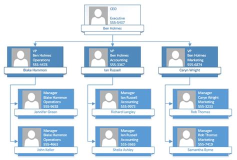 Visio Org Chart Example 5