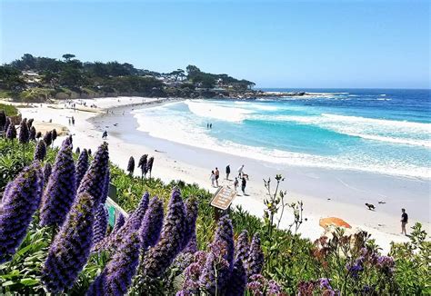 Carmel River State Beach