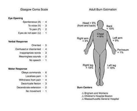 Vital Signs Assessment in Geriatric Patients