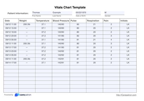 Vital Signs Flow Sheet Example