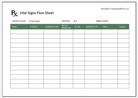 Vital Signs Flow Sheet Excel