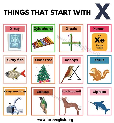 Vocabulary with X